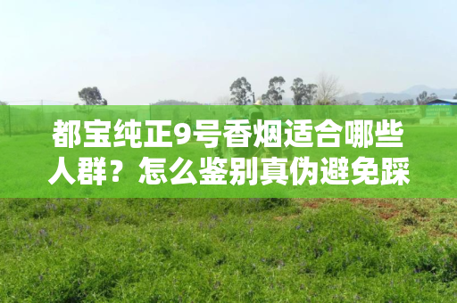 都宝纯正9号香烟适合哪些人群？怎么鉴别真伪避免踩坑？
